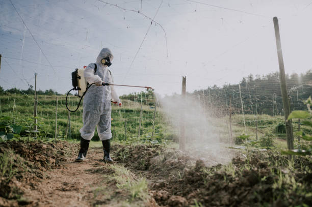 Best Commercial Pest Control Services  in Highlands, CA