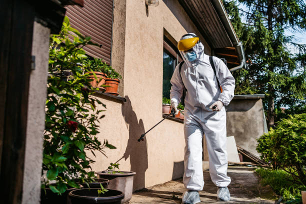 Flea Control Services in Highlands, CA