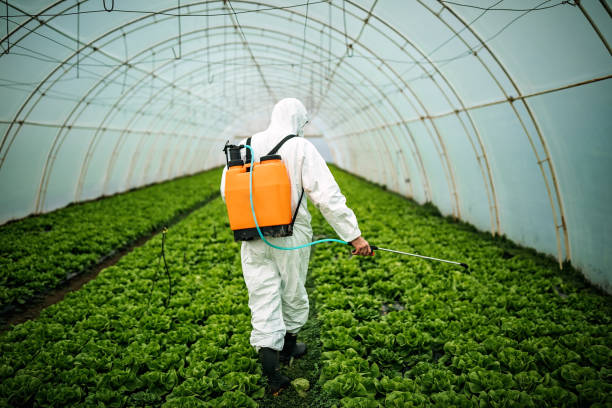 Best Residential Pest Control  in Highlands, CA