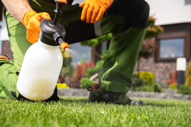 Best Pest Prevention Services  in Highlands, CA