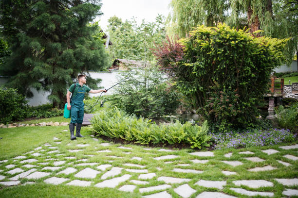 Best Affordable Exterminators  in Highlands, CA