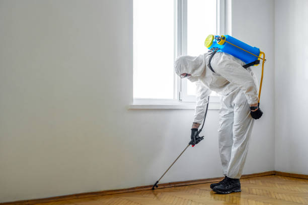 Best Flea Control Services  in Highlands, CA