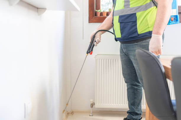Best Ant Control Services  in Highlands, CA